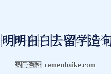 明明白白去留学造句是什么意思的图片
